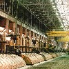Нажми для просмотра в большом виде